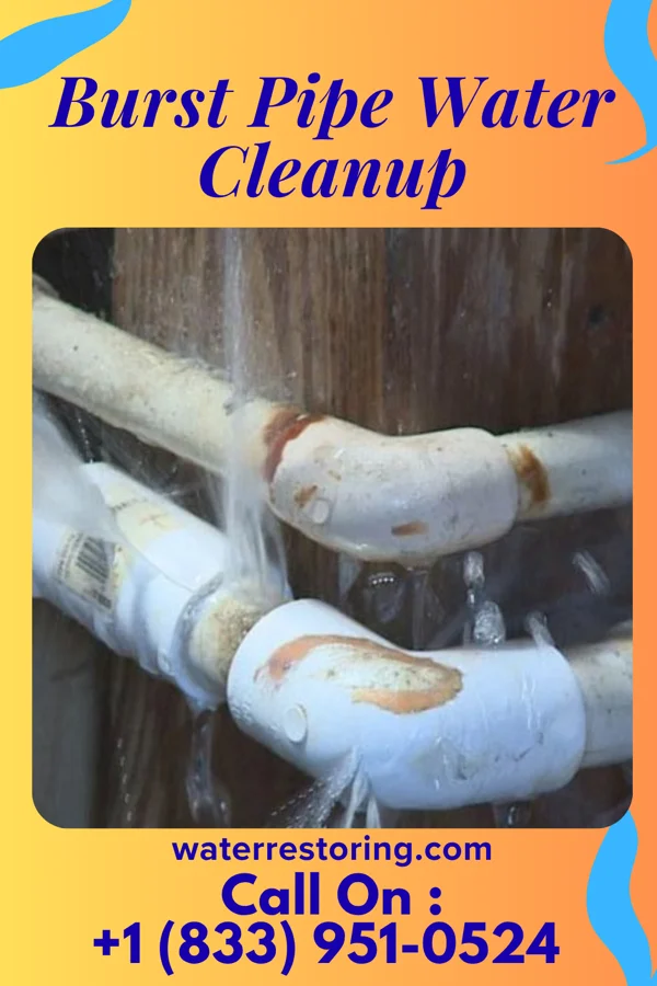 Burst Pipe Water Cleanup in Rocky Mount, VA