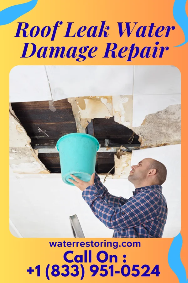Roof Leak Water Damage Repair in Rocky Mount, VA