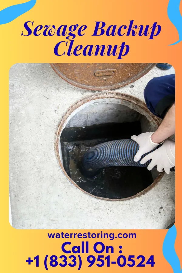 Sewage Backup Cleanup in Rocky Mount, VA