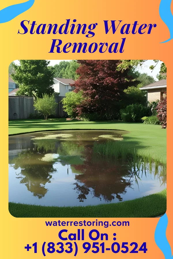 Standing Water Removal in Rocky Mount, VA